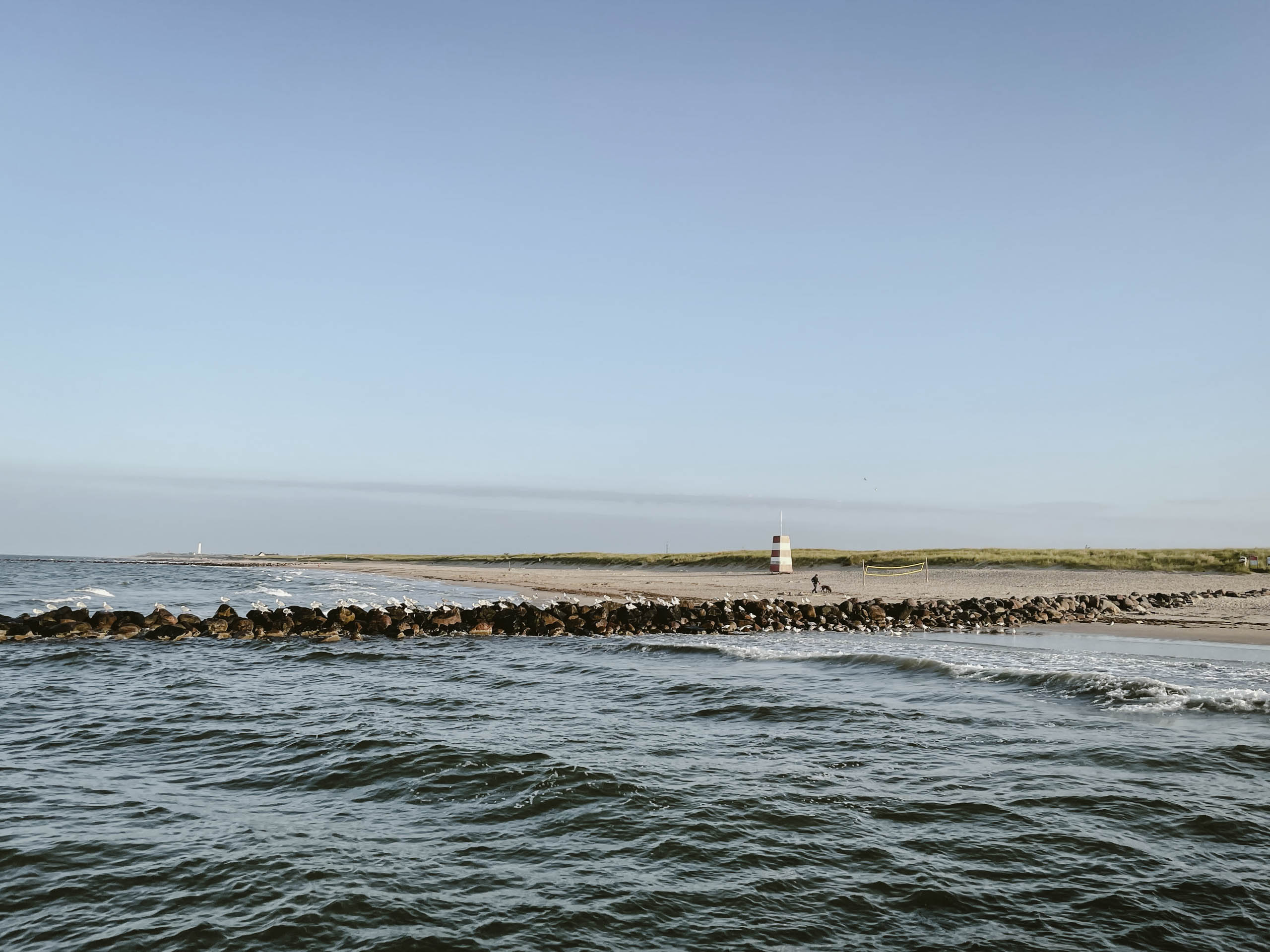 #4 Blåvand