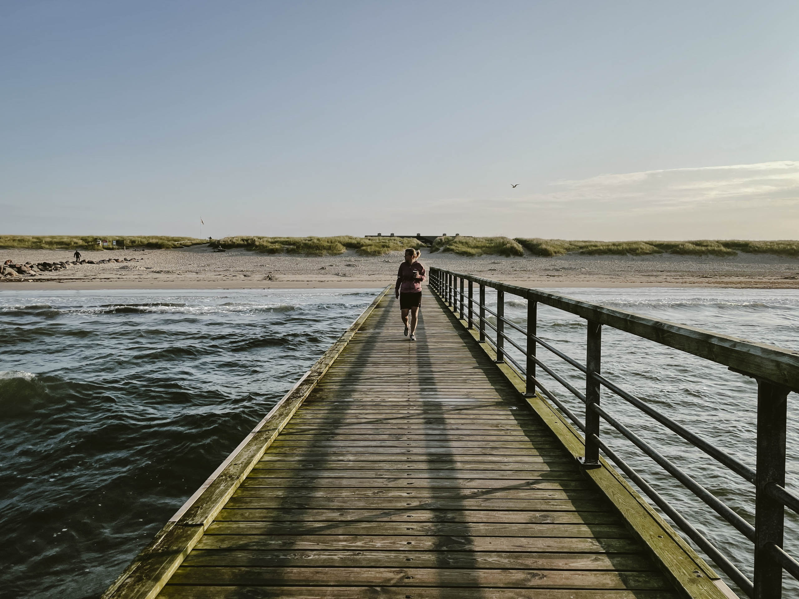 #5 Blåvand