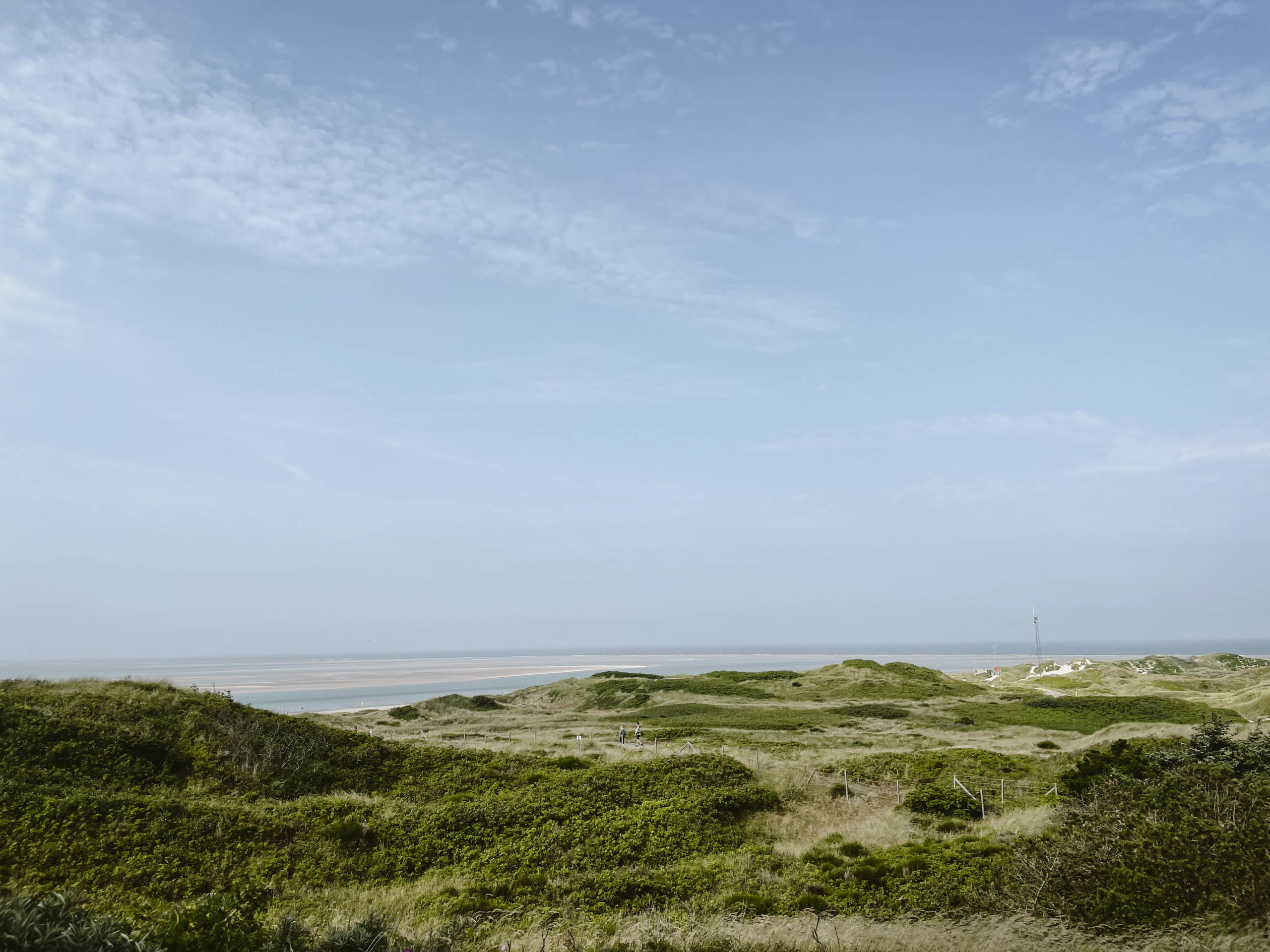 #7 Blåvand
