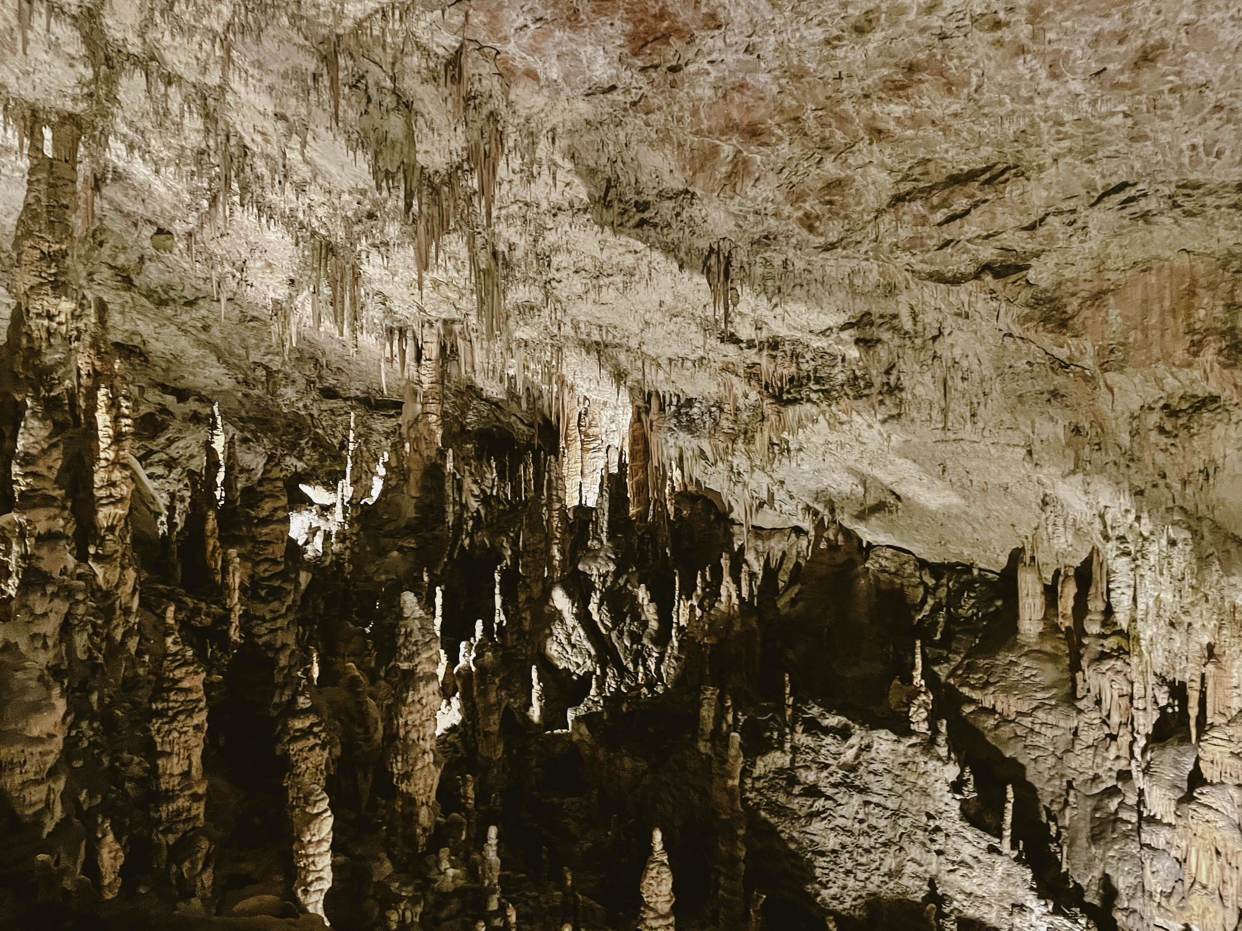 #5 Postojna Cave