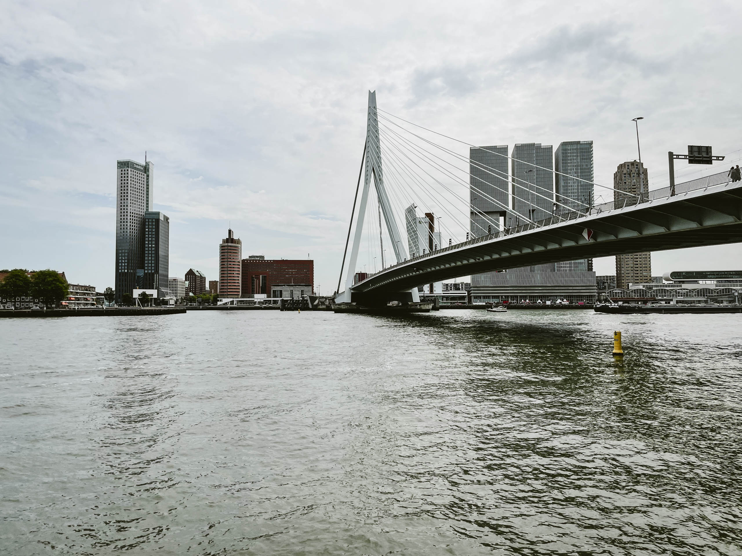 #13 Rotterdam