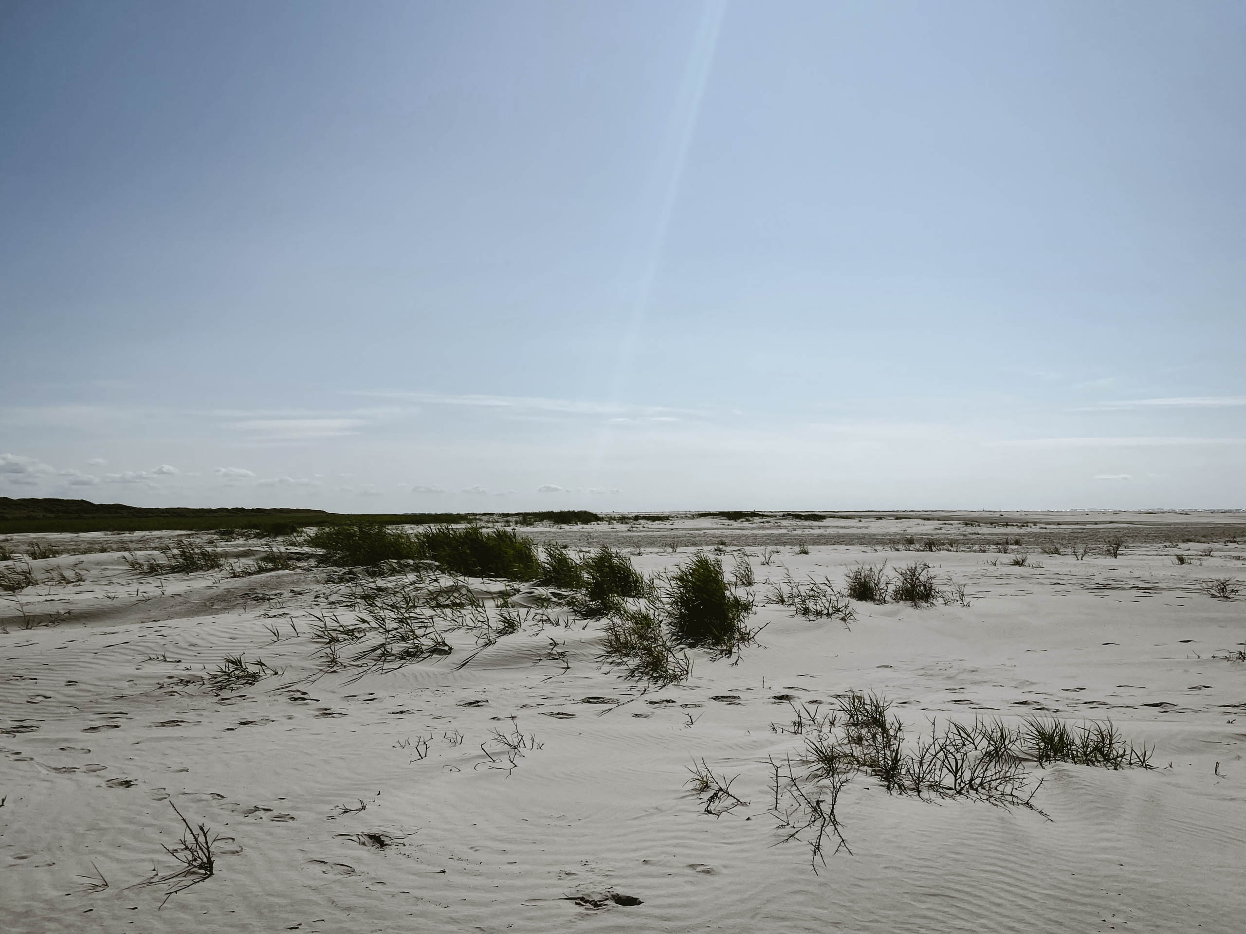 #5 Schiermonnikoog
